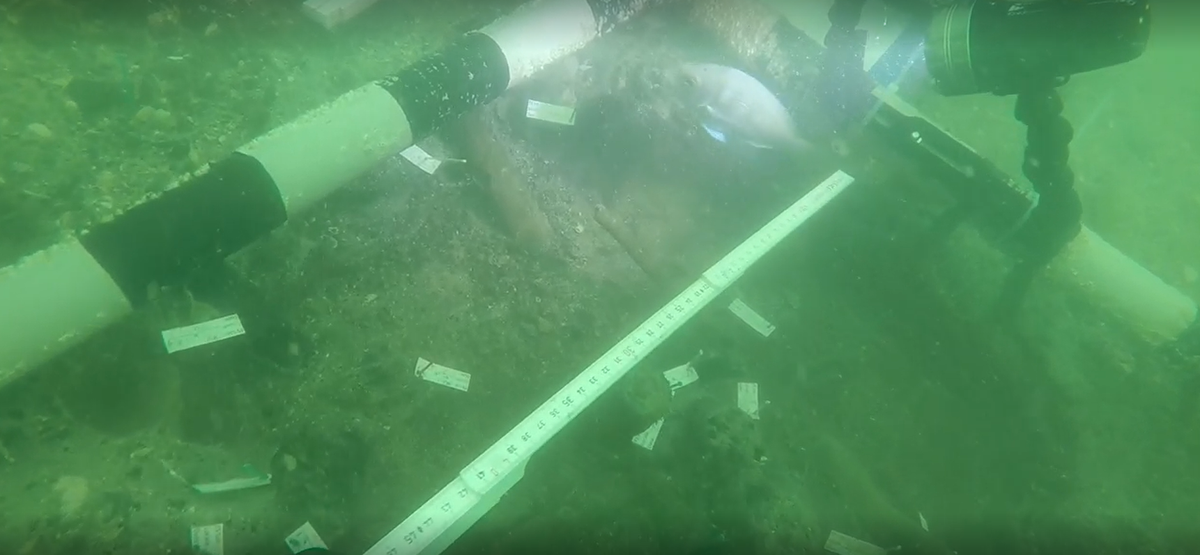 Tàn tích này được tìm thấy ở độ sâu khoảng sáu mét dưới mặt biển ngoài khơi bờ biển Florida. Ảnh: @Cục Nghiên cứu Khảo cổ học Mỹ.