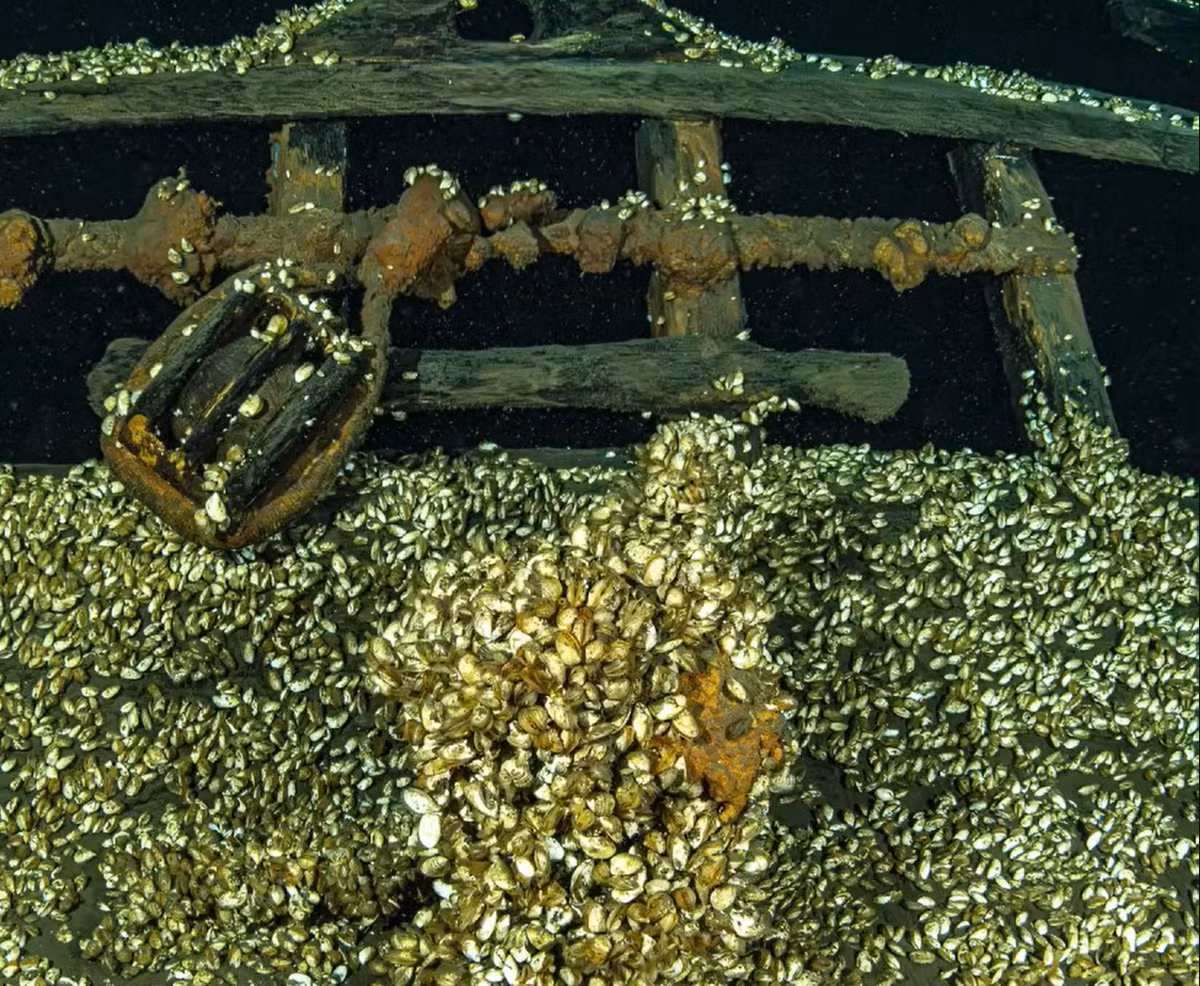 Mặc dù các thợ lặn chưa chắc chắn về danh tính của con tàu bị chìm, nhưng khả năng nó có nguồn gốc từ đầu thế kỷ 19. Ảnh: @Hội đồng Khảo sát dưới nước Ontario.