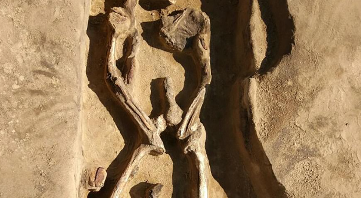 Các chuyên gia nhận định, bộ hài cốt thú vị này như đại diện cho một "vũ công thời Trung Cổ". Ảnh: @Denis Volkov.