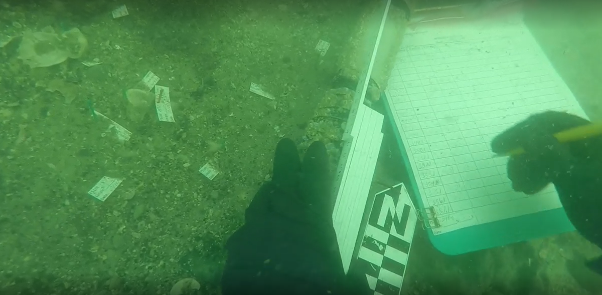 Nhóm khảo cổ dưới nước cũng tìm thấy những mảnh xương thuộc về người tiền sử. Ảnh: @Cục Nghiên cứu Khảo cổ học Mỹ.