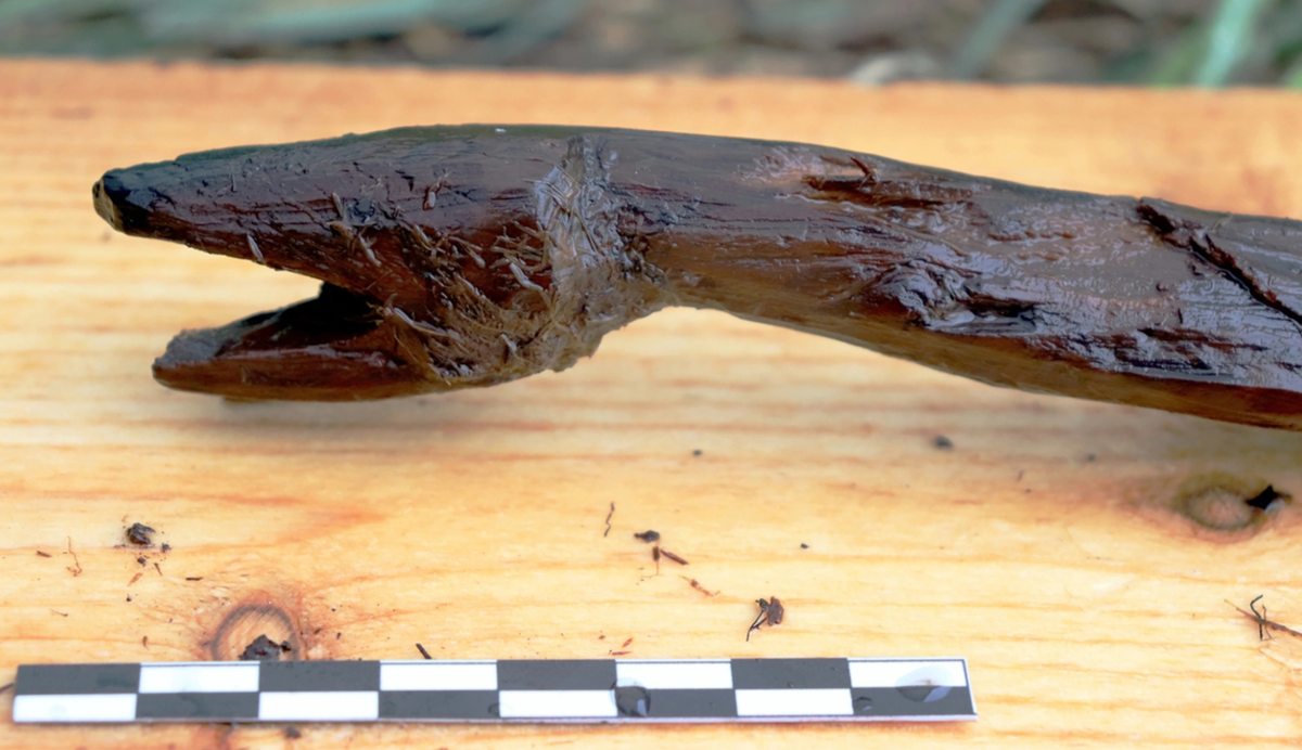 Cây gậy này dài nửa mét, có hình dạng giống như một con rắn đang trườn tự nhiên với chiếc đầu rắn cực kỳ rõ nét, chân thật. Ảnh: @Cơ quan Di sản Phần Lan.