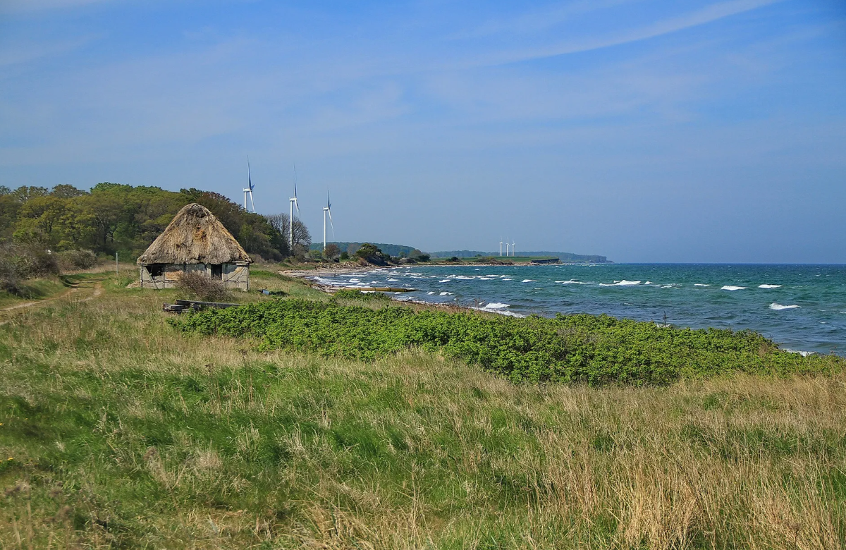 Trong một nghiên cứu được Bộ Khoa học và Giáo dục của trường Đại học Ba Lan công bố, khi kiểm tra hài cốt cổ của một nữ chiến binh được chôn cất bên trong một nghĩa địa Viking trên đảo Langeland của Đan Mạch, giới chuyên gia đã phát hiện một sự thật bất ngờ. Ảnh: @Đại học Ba Lan.