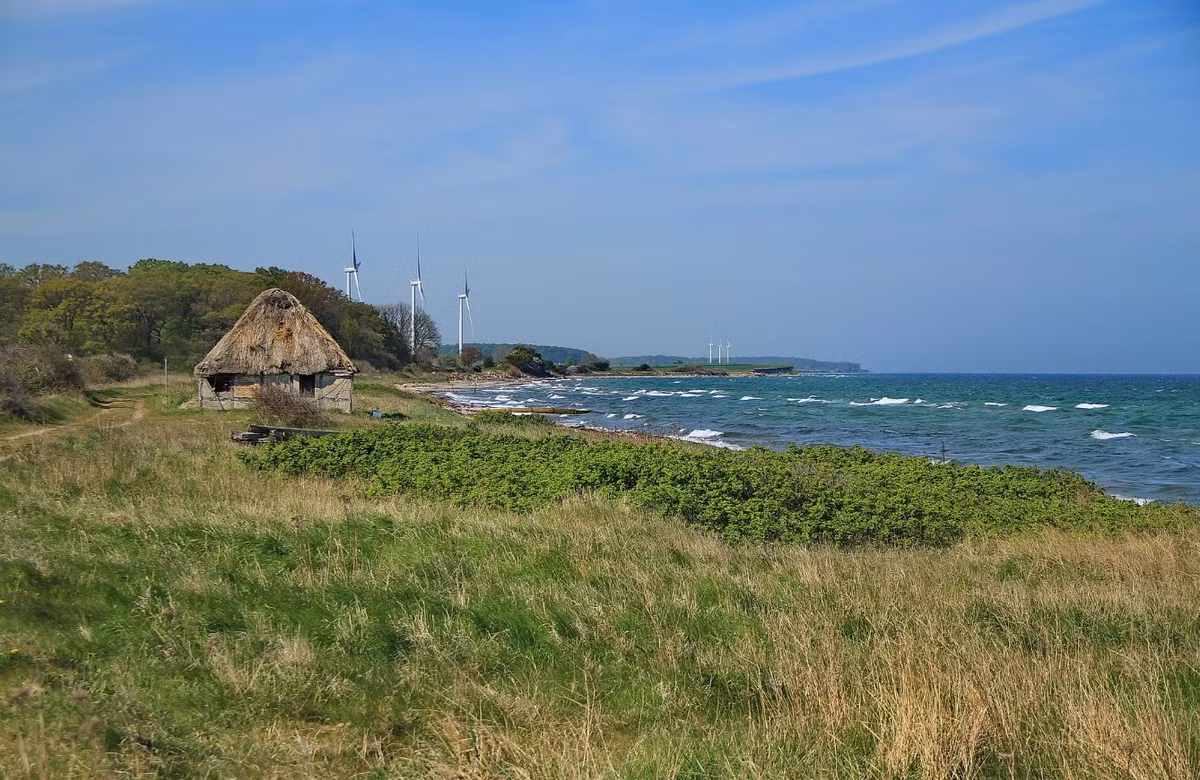 Trong một nghiên cứu được Bộ Khoa học và Giáo dục của trường Đại học Ba Lan công bố, khi kiểm tra hài cốt cổ của một nữ chiến binh được chôn cất bên trong một nghĩa địa Viking trên đảo Langeland của Đan Mạch, giới chuyên gia đã phát hiện một sự thật bất ngờ. Ảnh: @Đại học Ba Lan.