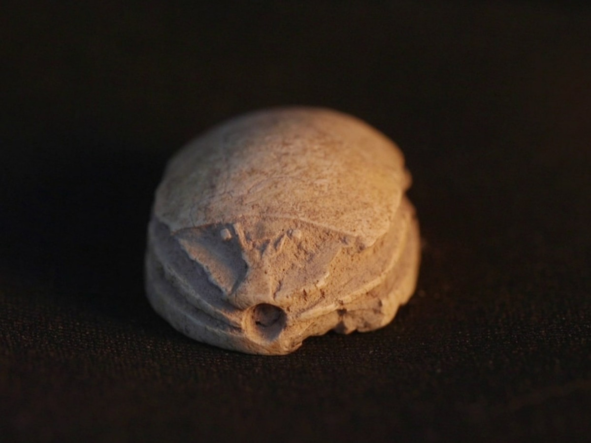 Hiện vật bằng đá này khắc hình bọ hung, loài bọ được người Ai Cập cổ đại coi là linh thiêng. Ảnh: @Cơ Quan Cổ Vật Israel.