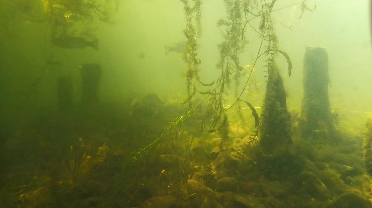 Nằm gần di tích này dưới hồ Biwa, các chuyên gia đến từ Viện Nghiên cứu Hàng hải Quốc gia Nhật Bản bất ngờ tìm thấy một cổ vật lạ. Ảnh: @Ảnh: @Viện Nghiên cứu Hàng hải Quốc gia Nhật Bản.