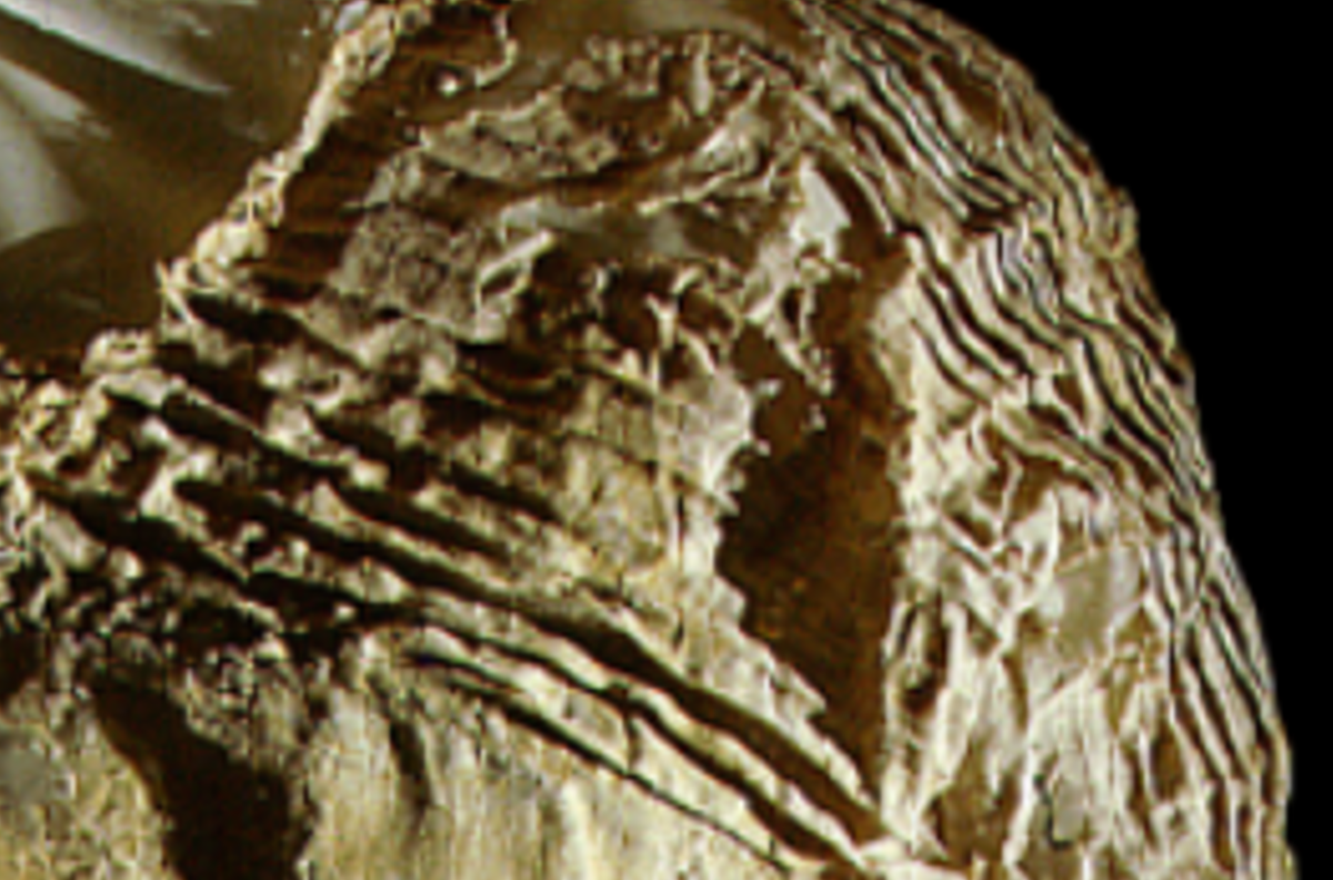 Hơn 5.000 năm trước, một người thợ dệt Ai Cập cổ đại đã tạo ra chiếc áo này bằng vải lanh đơn giản, được may đo riêng. Tuy nhiên, có lẽ người xưa không hề biết nó sẽ tồn tại lâu đến thế nào. Ảnh: @Sir Flinders Petrie.