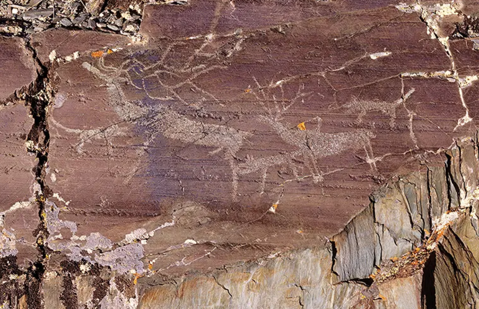 Sự tiến hóa của những bản khắc đá này mang đến cái nhìn sâu sắc hấp dẫn về sự tương tác phức tạp giữa nghệ thuật, xã hội và cảnh quan xung quanh Mông Cổ thời cổ đại. Ảnh: @Tạp chí Khảo cổ học Cambridge.