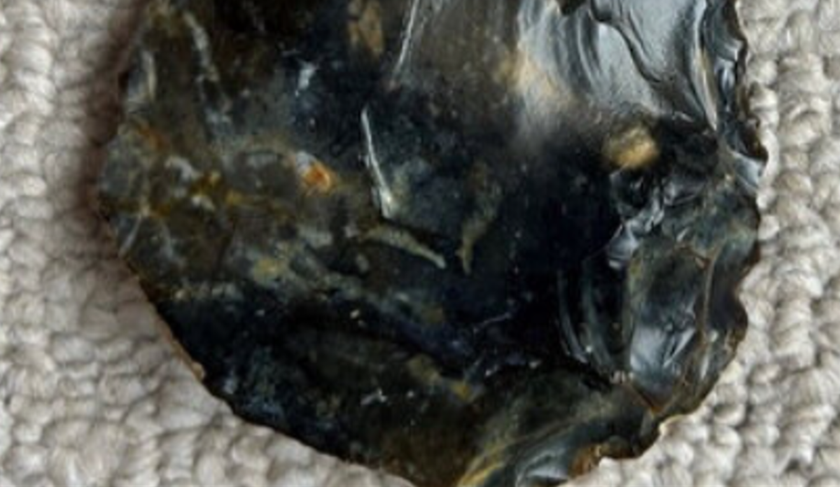 Ông cũng nhấn mạnh rằng, đầu rìu của người Neanderthal xưa được tìm thấy là cực kỳ hiếm. Ảnh: @Bảo tàng Worthing.