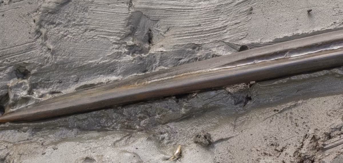 Con dao găm được mài rất sắc bén với một lỗ khoét ở một đầu. Nó được chạm khắc từ xương chân của nai sừng tấm hoặc hươu đỏ. Ảnh: @Bảo Tàng Quốc Gia Thụy Điển.