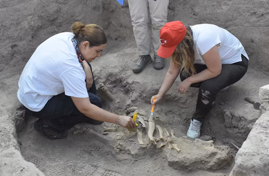 Gần đây, các nhà sử học và khảo cổ học Thổ Nhĩ Kỳ đến từ trường Đại học Ankara Yıldırım Beyazıt khi đang tiến hành công tác khai quật tại Shahrukhiye ở Uzbekistan thì tìm thấy một vật thể lạ. Ảnh: @Đại học Ankara Yıldırım Beyazıt.