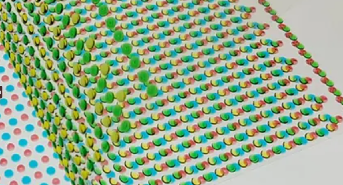 Khi tấm nhựa này được gấp lại xếp chồng lên nhau, các lớp tế bào điện âm dương xen kẽ đã chạm vào nhau và tạo ra cú sốc điện áp 110 vôn - một cú sốc điện khá lớn nhưng vẫn thấp hơn so với mức mà cá chình điện tạo ra. Ảnh: @Michael Meyer.