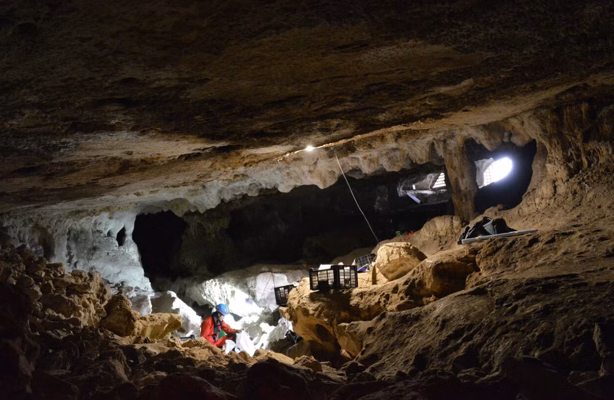 “Thật bất thường khi tìm thấy 13 di tích vỏ sò biển trong hang động nằm sâu trong đất liền cách rất xa bờ biển và có niên đại cổ xưa đến như vậy. Và hang động này có ý nghĩa tiền sử lớn lao, đánh dấu đây là một địa điểm khảo cổ quan trọng và có giá trị để nghiên cứu lịch sử loài người ở châu Âu”, Giáo sư Juan Jesús Cantillo cho biết thêm. Ảnh: @Đại học Cádiz.