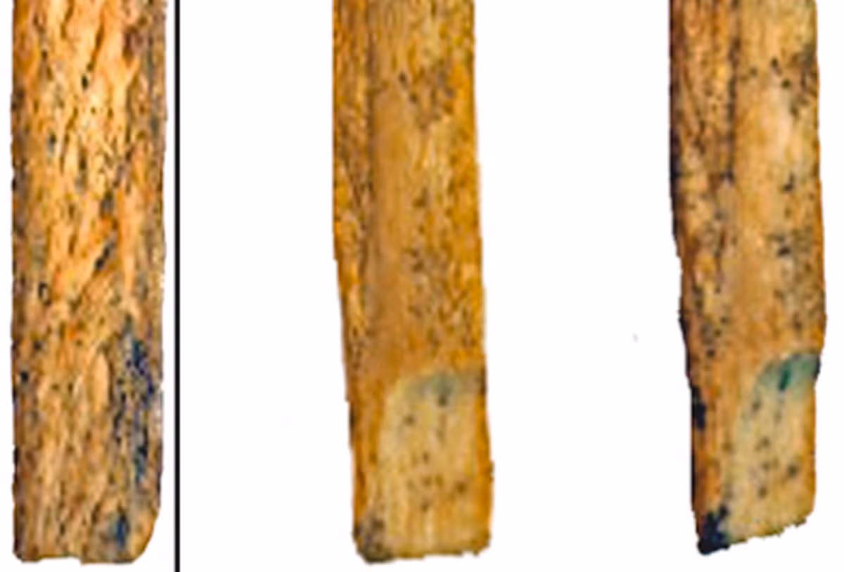 Các mũi giáo được làm từ xương bò rừng, nó đã được phân tích bởi một nhóm nghiên cứu do Liubov Golovanova, một nhà khảo cổ học tại Phòng thí nghiệm Tiền sử ở Nga, dẫn đầu. Ảnh: @Liubov Golovanova.