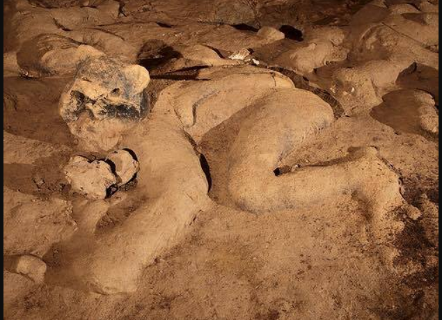 Điều đáng ngạc nhiên nhất là những bức tượng, được làm từ đất sét thô, đã tồn tại hơn một thiên niên kỷ trong điều kiện độ ẩm và nhiệt độ ổn định. Nghiên cứu lưu ý rằng, hang động giống như những viên nang thời gian. Ảnh: @ Leslie F. Zubieta Calvert.