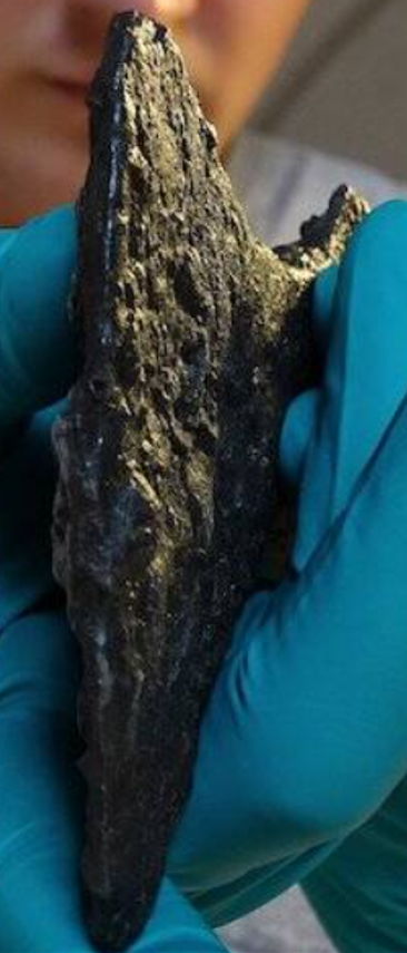 Thay vì là một vũ khí của người Viking điển hình, nhóm chuyên gia nhận ra rằng, đó thực chất là một chiếc rìu kiểu của người Slav chế tạo và phổ biến sử dụng. Ảnh: @Đại học Ba Lan.