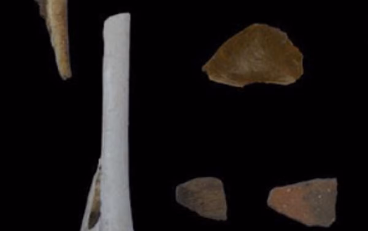 Nhiều mẫu xương động vật và tranh hang động cũng được tìm thấy. Ảnh: @Viện Hàn lâm Khoa học Trung Quốc.