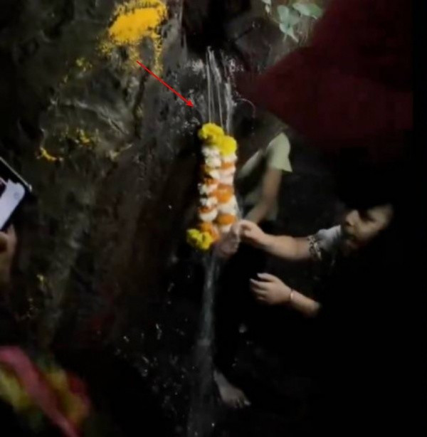 Chứng kiến dòng nước rỉ ra từ thân cây, người dân địa phương và cả những người từ nơi khác đã kéo đến công viên với lòng tin mãnh liệt vào điều kỳ diệu. Họ xem đây là "nước Thánh", mang đến sức khỏe và may mắn.