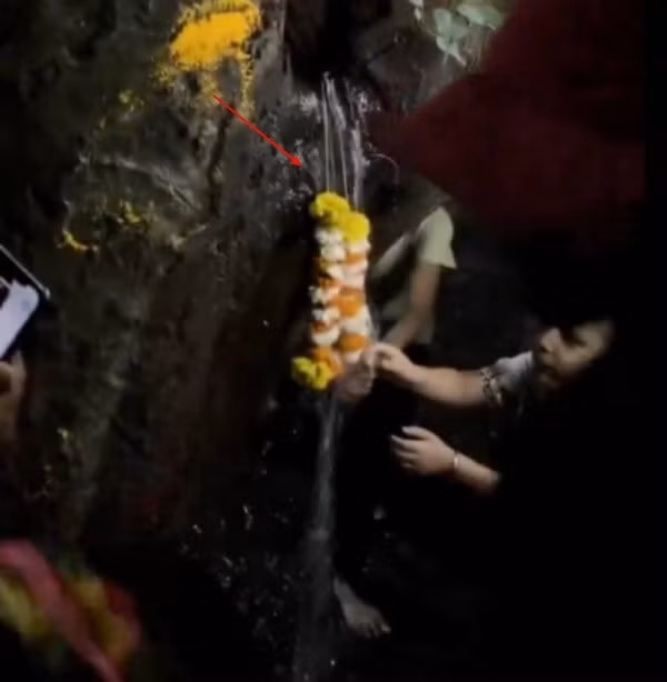 Chứng kiến dòng nước rỉ ra từ thân cây, người dân địa phương và cả những người từ nơi khác đã kéo đến công viên với lòng tin mãnh liệt vào điều kỳ diệu. Họ xem đây là "nước Thánh", mang đến sức khỏe và may mắn.