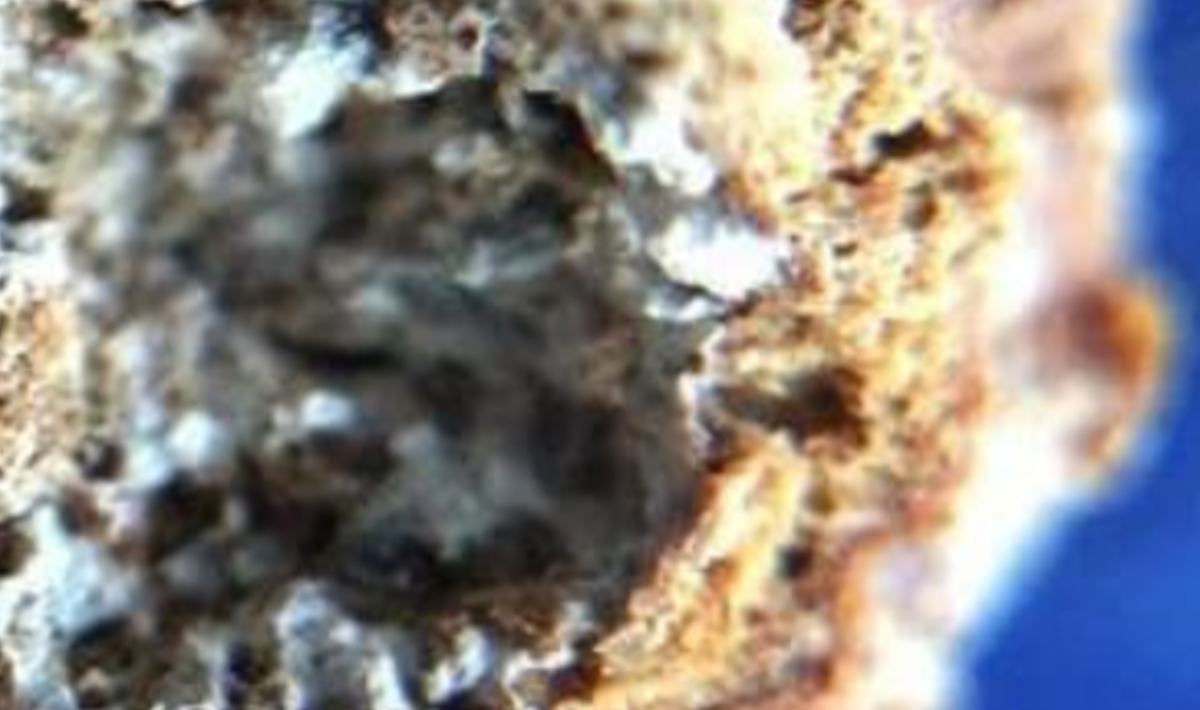 Để xác định thành phần của nước hoa, nhiều kỹ thuật đo lường khác nhau đã được sử dụng, chẳng hạn như nhiễu xạ tia X, sắc ký khí kết hợp với quang khối phổ, cùng nhiều phương pháp khác. Ảnh: @Đại học Cordoba.