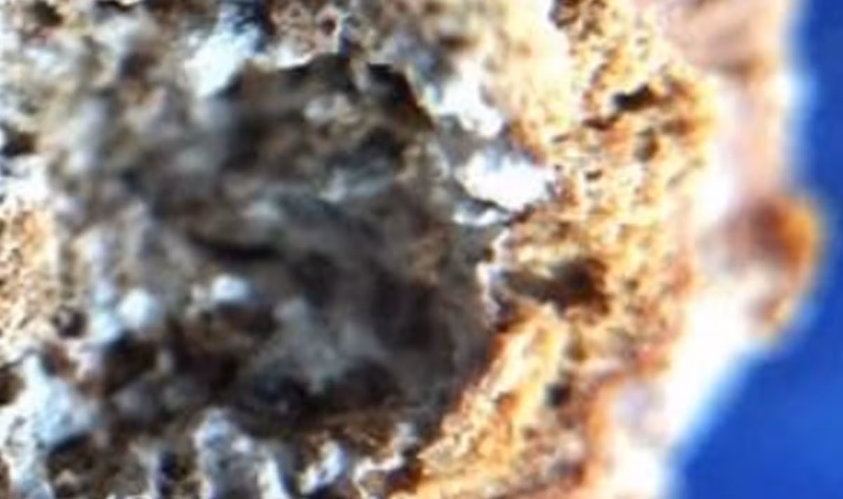 Để xác định thành phần của nước hoa, nhiều kỹ thuật đo lường khác nhau đã được sử dụng, chẳng hạn như nhiễu xạ tia X, sắc ký khí kết hợp với quang khối phổ, cùng nhiều phương pháp khác. Ảnh: @Đại học Cordoba.