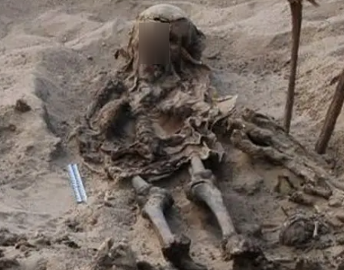 Có thể đứa trẻ đang chăm sóc/ chơi đùa cùng các con vật thì bị gặp nạn, nhưng điều khó hiểu hơn là đứa trẻ được tìm thấy với một chiếc túi vải lanh được đặt trên đầu. Ảnh: @Viện Nghiên Cứu CEI RAS.