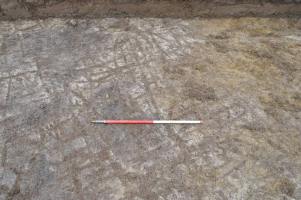 Chín khối đá này được tìm thấy bên trong một cấu trúc bao gồm ba ngôi mộ hình hộp, hai lò sưởi và một hố được lấp một phần bằng đá dăm. Ảnh: @Bảo Tàng Khảo Cổ Scotland.