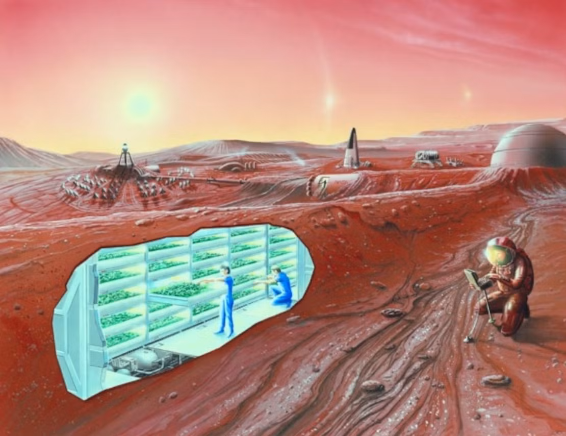 Còn loại đất thứ ba được làm tổng hợp chỉ bằng đá núi lửa, đất sét, muối và chứa các thành phần hóa học khác tương tự như những loại chất hóa học mà tàu tự hành Curiosity của NASA đã thăm dò trên Hành tinh Đỏ và gửi dữ liệu về Trái Đất. Và loại đất tổng hợp này được cho là giống nhất, gần gũi nhất với đất thực tế trên sao Hỏa lẫn mặt vật lý và hóa học. Ảnh: @ Wikipedia.