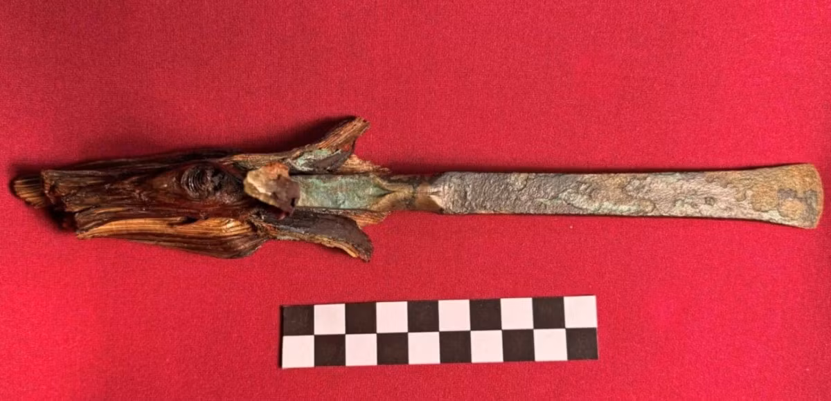 Nhóm nghiên cứu nhận định rằng, chiếc đục này được bảo quản cực kỳ tốt. Ảnh: @Viện Khảo cổ học Trung ương Ý.