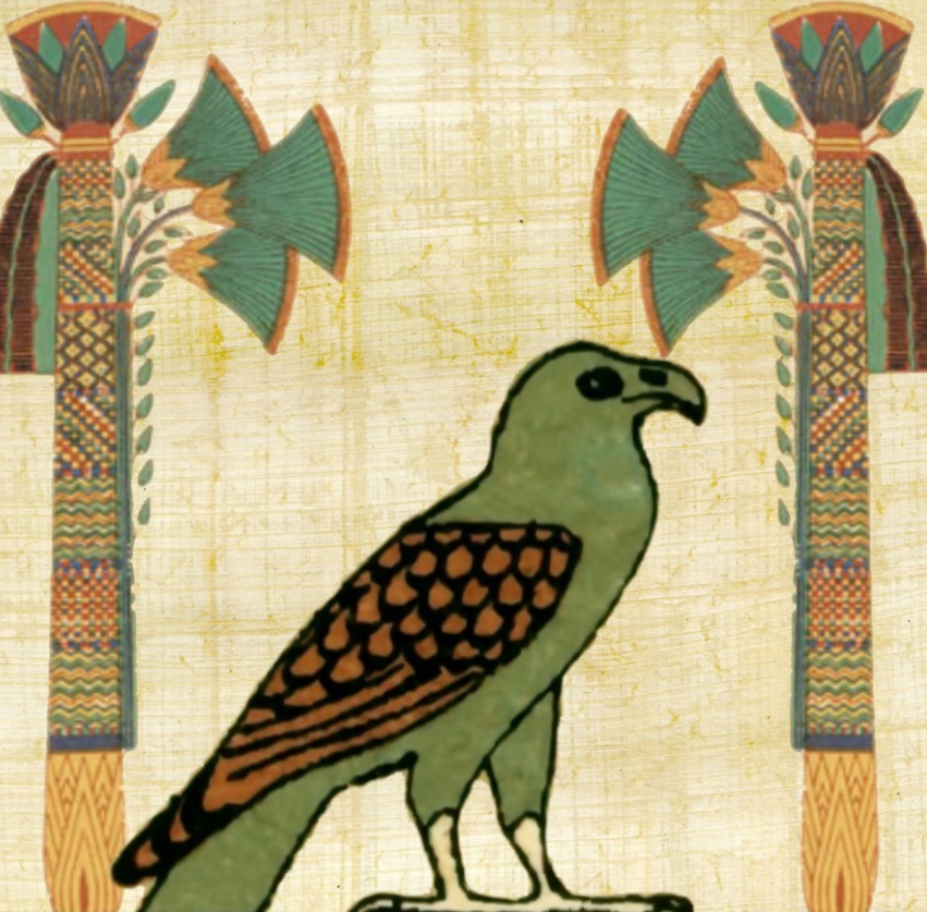 Tuy nhiên, đôi khi những con chim không bị moi ruột, mà được đem đi ướp xác, tạo cơ hội cho Giáo sư Ikram và các đồng tác giả có cái nhìn thoáng qua về cuộc sống của một con chim cụ thể trước khi nó chết. Ảnh: @Đại học Cairo.