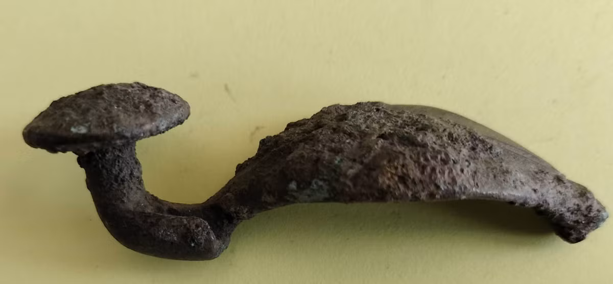 Theo các nhà khảo cổ học thuộc Văn phòng Bảo vệ Di tích Tỉnh Lublin, những chiếc trâm cài áo loại này rất hiếm, và chỉ xuất hiện ở những nơi chôn cất thuộc nền văn hóa Lusatian. Ảnh: @Văn phòng Bảo vệ Di tích Tỉnh Lublin.