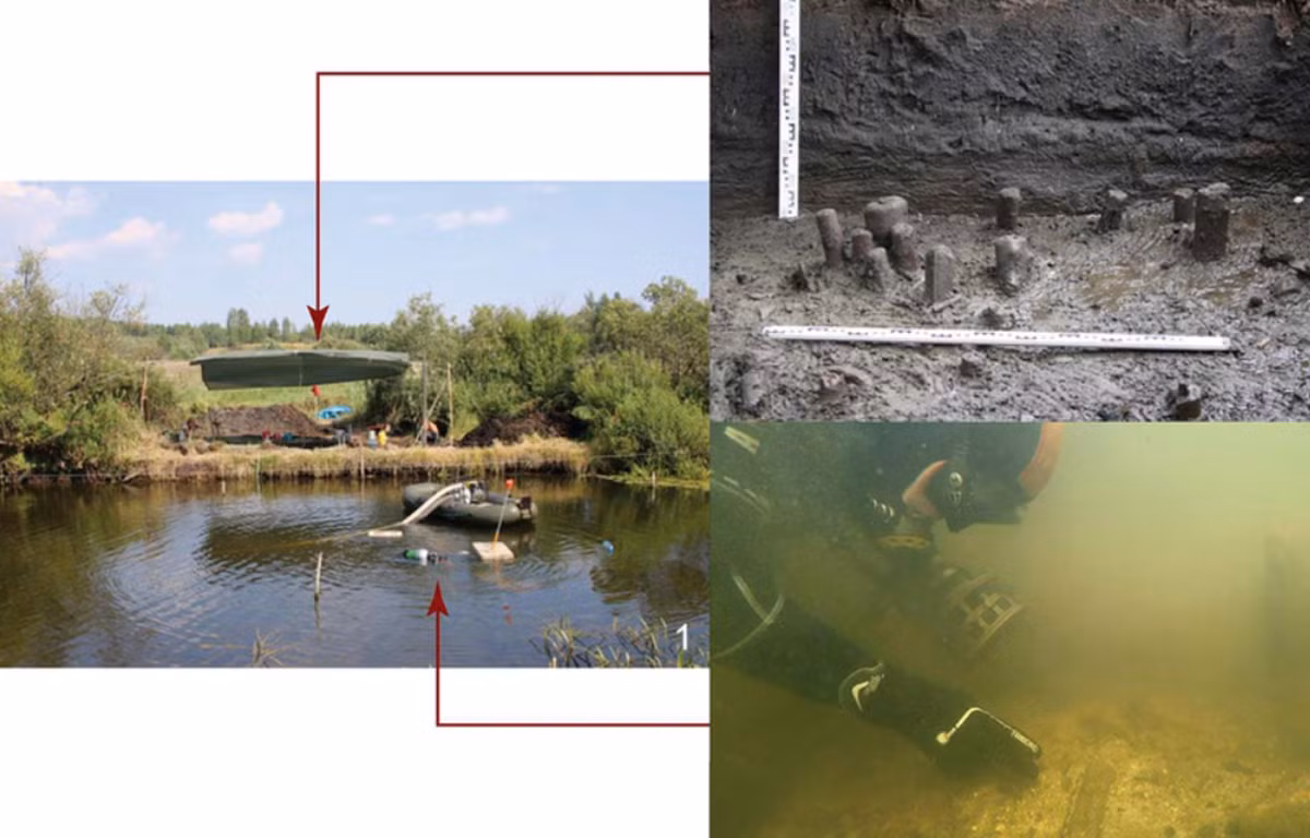 Serteya II là một khu định cư đầm lầy nhà sậy ở tây bắc nước Nga. Ảnh: @Bảo tàng Hermitage.