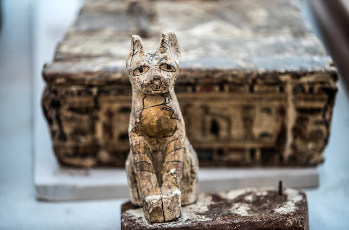 Hàng triệu xác ướp mèo, chó, cò quăm đã được phát hiện trong các hầm mộ trên khắp Ai Cập và hiện được trưng bày tại các bảo tàng trên khắp thế giới. Ảnh: @Đại học Cairo.