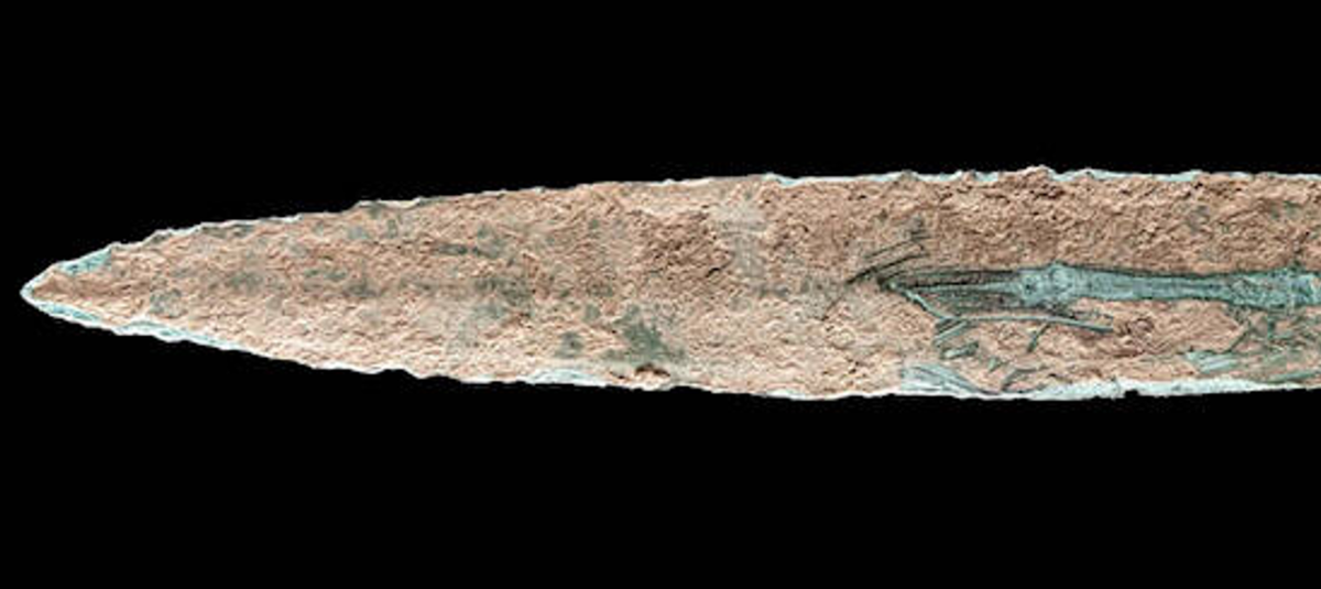 Theo các chuyên gia, một phát hiện như thế này là vô cùng hiếm hoi, đặc biệt là vì hiện vật được tìm thấy gần như còn nguyên vẹn. Ảnh: @Văn phòng Bảo tồn Di tích và Khảo cổ học bang Thuringia.