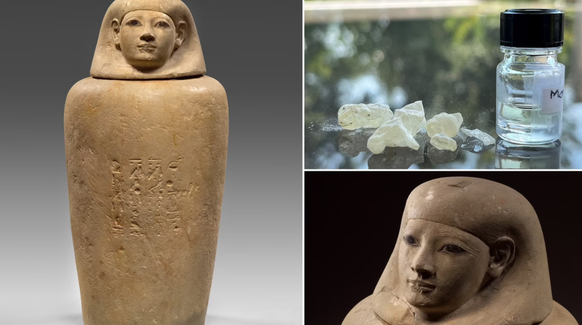 Kết quả phân tích chuyên sâu cho thấy, loại dầu ướp xác này chứa hỗn hợp sáp ong, dầu thực vật, chất béo, bitum, nhựa thông, một chất balsamic và nhựa cây dammar, nhựa cây hồ trăn.v.v.v…Ảnh: @Bảo tàng August Kestner.