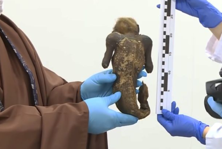 Ở Nhật Bản, có một truyền thuyết kể rằng, xác ướp nàng tiên cá 300 năm tuổi này sẽ ban sự bất tử cho bất kỳ ai ăn thịt nó. Ảnh: @Hội Văn hóa Dân gian Okayama.