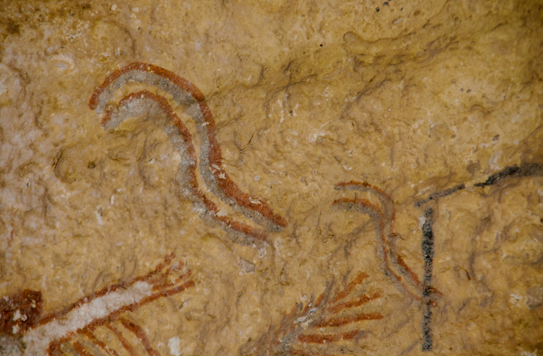 Chúng không chỉ thể hiện nghệ thuật mà còn là một ngôn ngữ siêu hình quan trọng, ăn sâu trong văn hóa của vùng hẻm núi Lower Pecos. Ảnh: @ScienceAdvances.