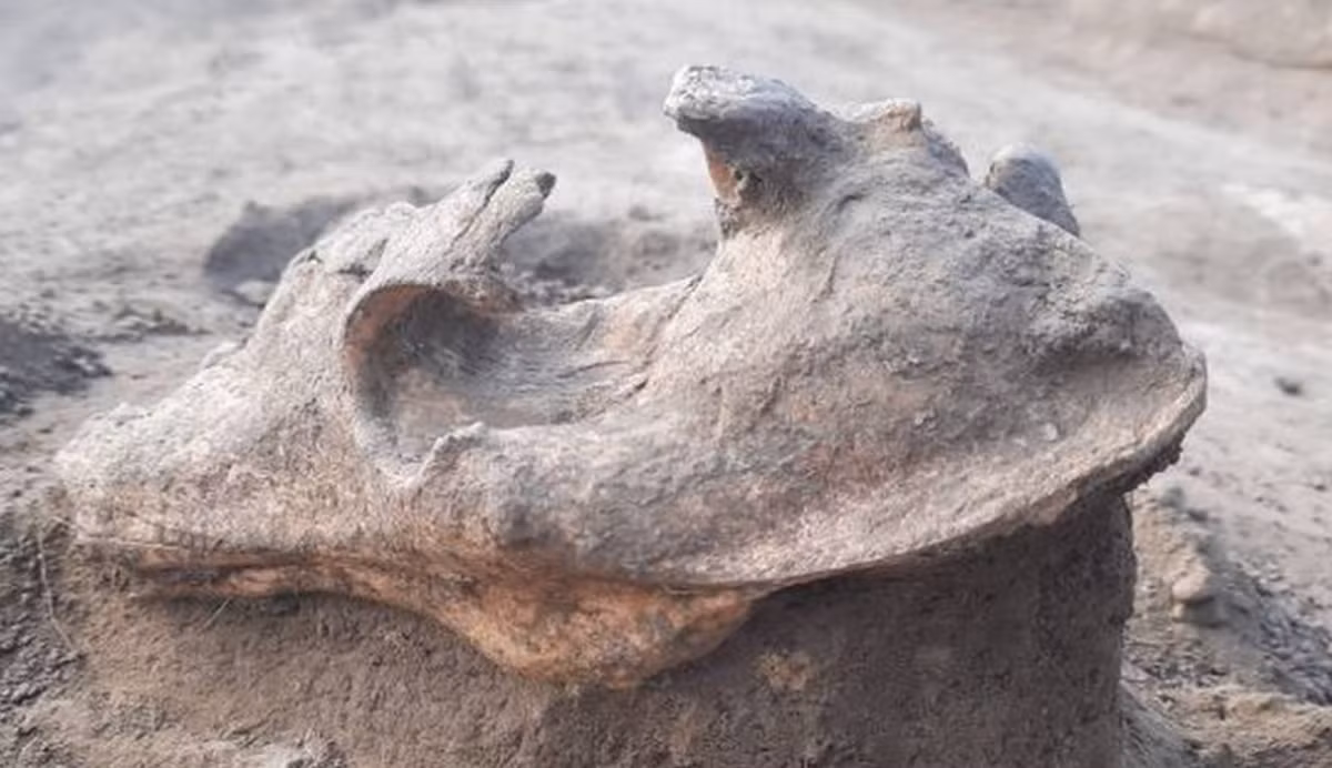 Tiến sĩ Bartłomiej Szymon Szmoniewski đến từ Viện Khảo cổ học và Dân tộc học thuộc Viện Hàn lâm Khoa học Ba Lan, cho biết: "Có lẽ đó là một thủ thuật tâm linh mà những kẻ săn trộm cổ vật xa xưa thực hiện, nhằm ngăn chặn sự thoát ra của linh hồn trong các mộ, cũng như ngăn sự trả thù của linh hồn, khi các ngôi mộ này bị các tên trộm cướp bóc”. Ảnh: @V. Voine/Science in Poland.