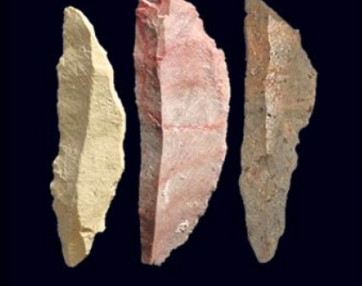 Đó là những đầu mũi tên cổ, ước tính có niên đại lên tới 64.000 năm tuổi. Ảnh: @Đại học Johannesburg.