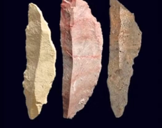 Đó là những đầu mũi tên cổ, ước tính có niên đại lên tới 64.000 năm tuổi. Ảnh: @Đại học Johannesburg.