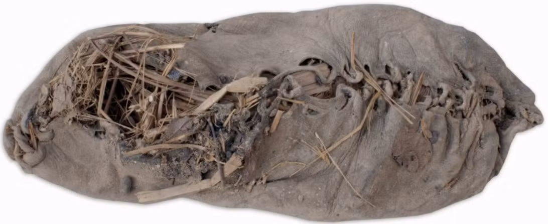 Theo phương pháp xác định niên đại bằng carbon phóng xạ, ước tính chiếc giày có niên đại 5.500 năm tuổi, vào Thời Kỳ Đồ Đồng của Armenia. Ảnh: @Diana Zardaryan.