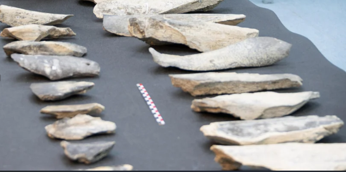 Nó cũng cho thấy sự tiến hóa rõ ràng và khác biệt trong kỹ thuật chế tác công cụ lao động của người tiền sử. Ảnh: @Hội đồng Nghiên cứu Quốc gia Tây Ban Nha.