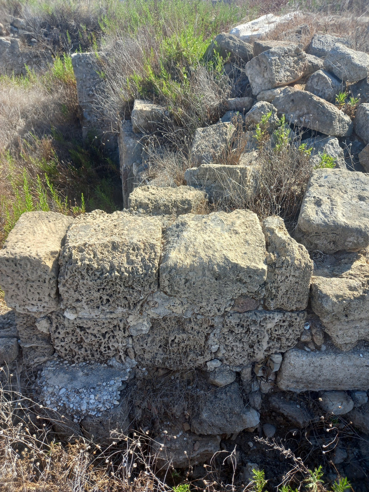 Tại hiện trường tìm thấy hai bức tượng này còn có xương động vật bị cháy và tàn tích của nho, ô liu và đậu xanh. Ảnh: @Viện Nghiên Cứu Khảo Cổ Lebanon.