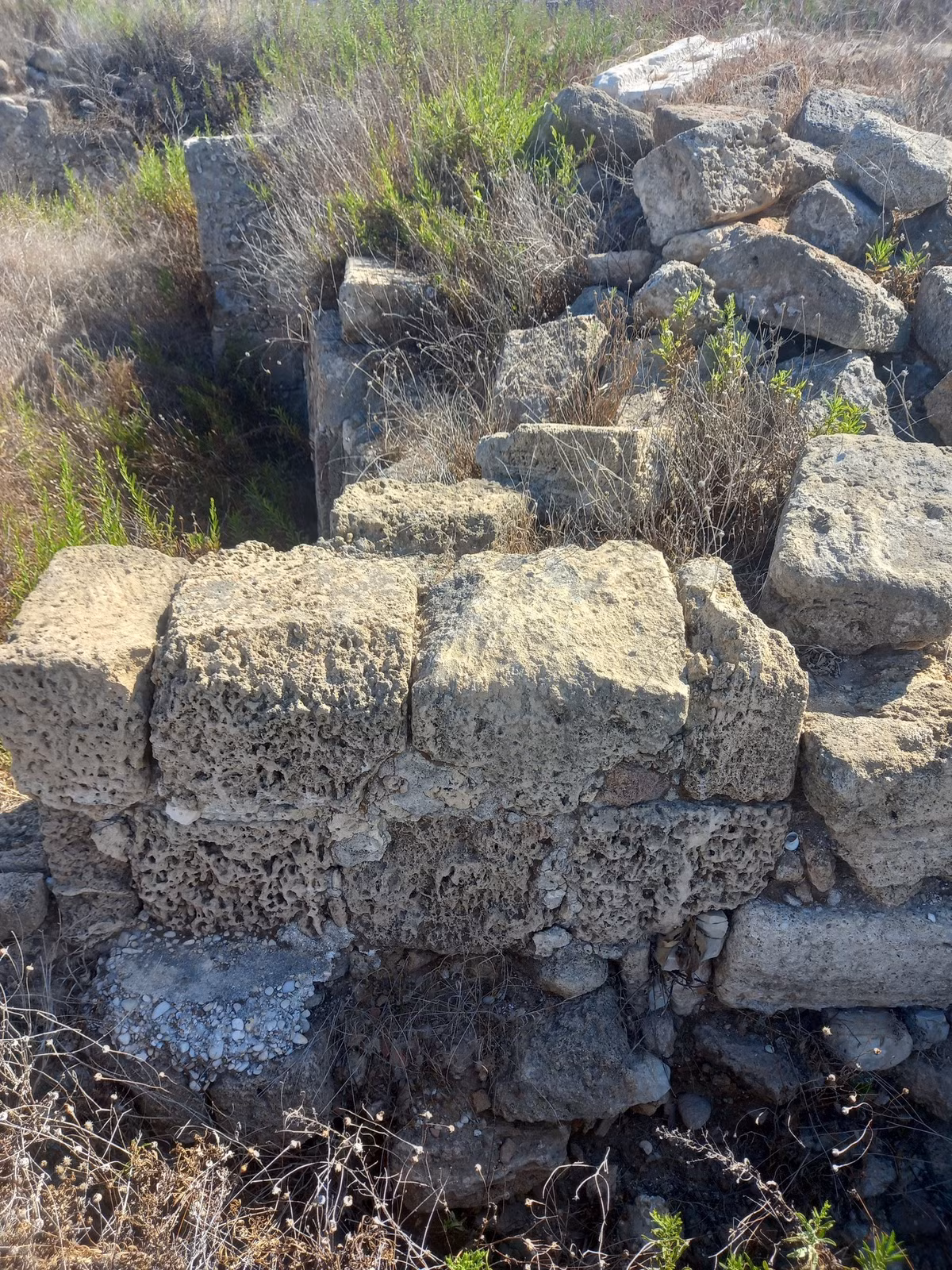 Tại hiện trường tìm thấy hai bức tượng này còn có xương động vật bị cháy và tàn tích của nho, ô liu và đậu xanh. Ảnh: @Viện Nghiên Cứu Khảo Cổ Lebanon.