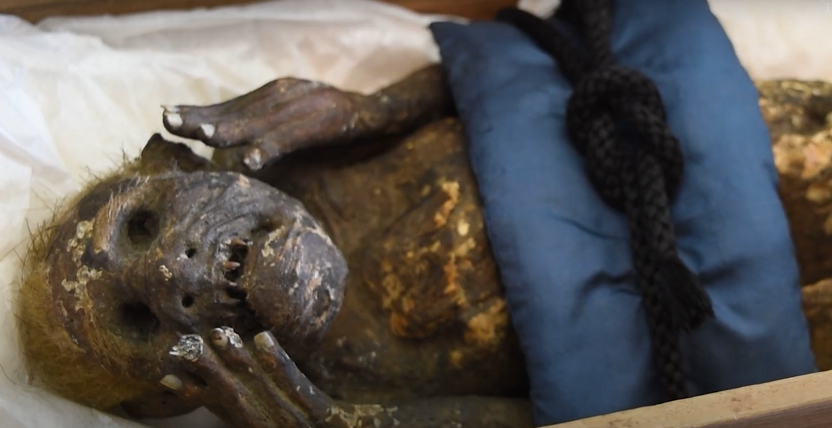 Sinh vật này có hai tay giơ lên về phía khuôn mặt nhăn nhó. Tóc vẫn còn nhìn thấy trên đầu và miệng vẫn còn sót lại những chiếc răng sắc nhọn. Nhưng cơ thể nó lại lộ ra một cái đuôi đặc trưng giống cá. Điều này khiến các nhà khoa học đã bối rối suốt nhiều năm qua. Ảnh: @Hội Văn hóa Dân gian Okayama.