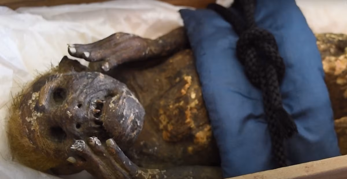 Sinh vật này có hai tay giơ lên về phía khuôn mặt nhăn nhó. Tóc vẫn còn nhìn thấy trên đầu và miệng vẫn còn sót lại những chiếc răng sắc nhọn. Nhưng cơ thể nó lại lộ ra một cái đuôi đặc trưng giống cá. Điều này khiến các nhà khoa học đã bối rối suốt nhiều năm qua. Ảnh: @Hội Văn hóa Dân gian Okayama.