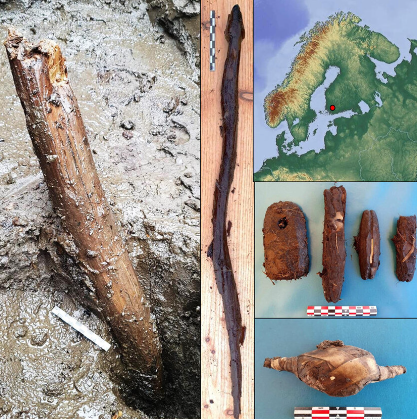 Tiến sĩ Antti Lahelma đến từ Đại học Helsinki cho biết: “Dường như có một mối liên hệ nhất định giữa rắn và con người, điều này gợi nhớ đến đạo Shaman phương Bắc trong giai đoạn lịch sử, khi rắn có vai trò đặc biệt là loài vật hỗ trợ tinh thần cho thầy cúng, pháp sư tâm linh”. Ảnh: @Cơ quan Di sản Phần Lan.