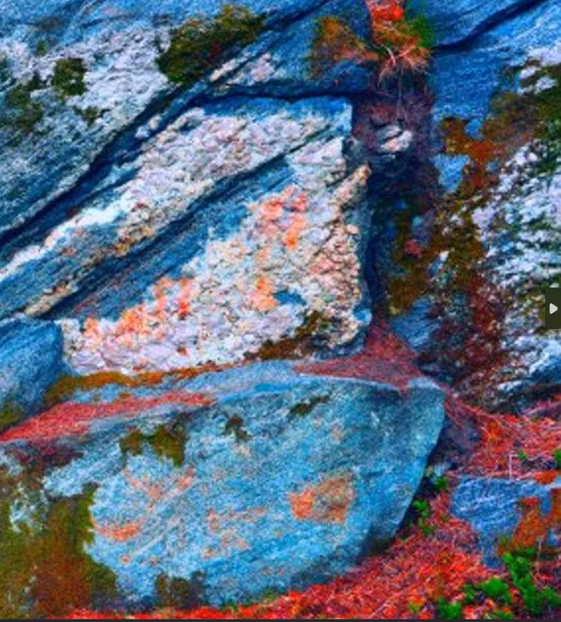 Tormod Fjeld kiểm tra tảng đá và nhận thấy màu sắc khác thường, cùng một số bức tranh cổ trên đá. Ông đã dùng điện thoại chụp ảnh một số bức vẽ cổ. Ảnh: @Tormod Fjeld.