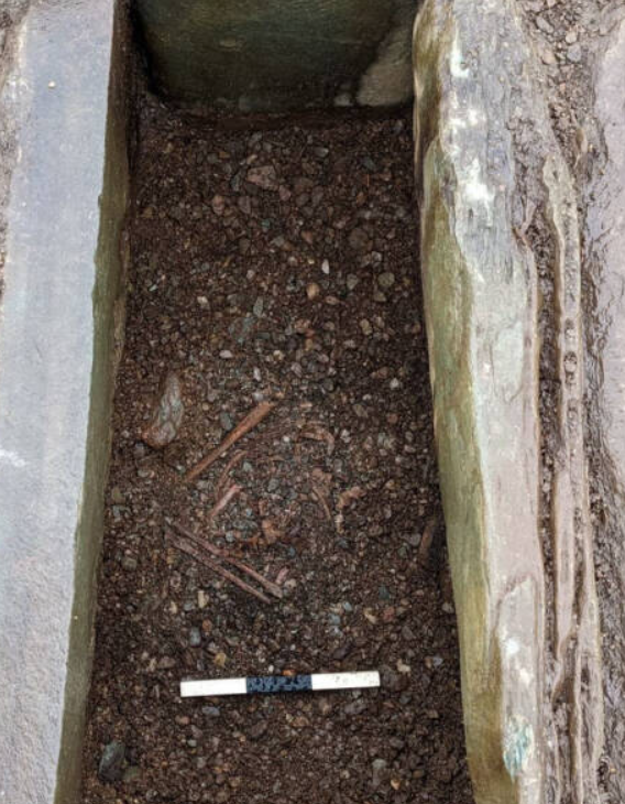 Phân tích hài cốt đã hé lộ một số phát hiện đáng chú ý. Ví dụ, chế độ ăn của cả hai người đều thiếu lượng protein từ biển đáng kể, mà thay vào đó dường như chủ yếu là protein từ đất liền. Tuy nhiên, phân tích không xác định được bất cứ điều gì có thể cho thấy mối quan hệ giữa người đàn ông và người phụ nữ, hoặc khoảng thời gian chính xác ngay thời điểm mà họ được chôn cất. Ảnh: @Cơ quan Bảo tồn Di sản Lịch sử Scotland và Tập đoàn Khảo cổ học AOC/PA Wire.