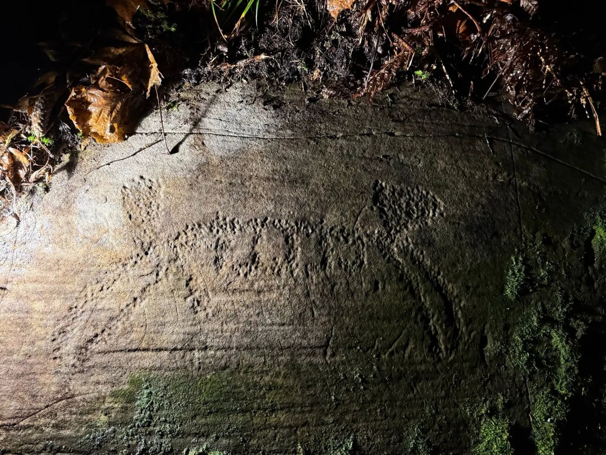 Trong nhiều cách giải thích, những con tàu tượng trưng cho sự di chuyển giữa thế giới con người và cõi tâm linh. Ảnh: @Tormod Fjeld.