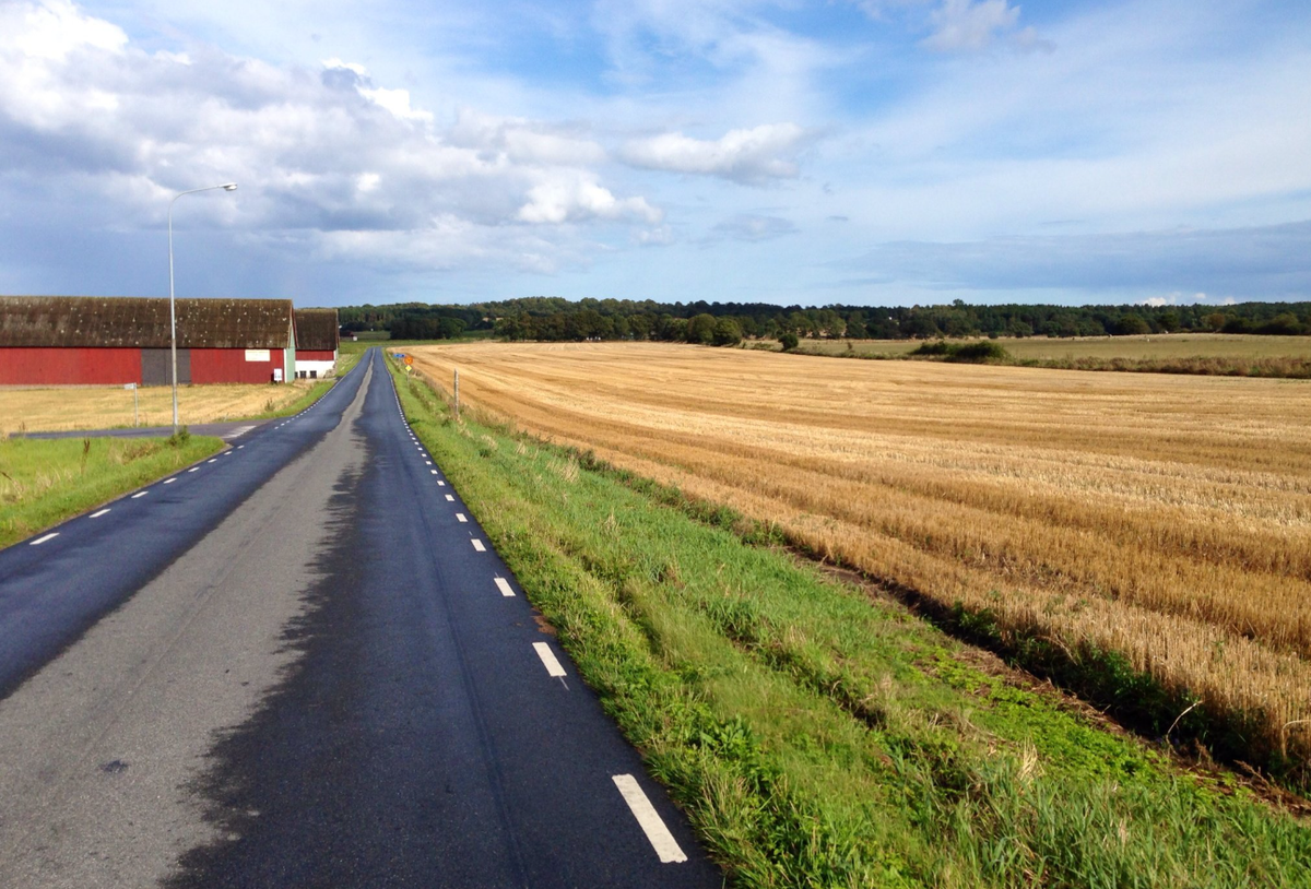 Trên một cánh đồng không xa thị trấn nhỏ vùng nông thôn Nam Scandinavia, giữa những luống đất vừa được cày xới và bất chấp mùa đông khắc nghiệt, người đàn ông tên là Albert Cole đã phát hiện ra một thứ ngay lập tức thu hút sự chú ý. Ảnh: @Albert Cole.